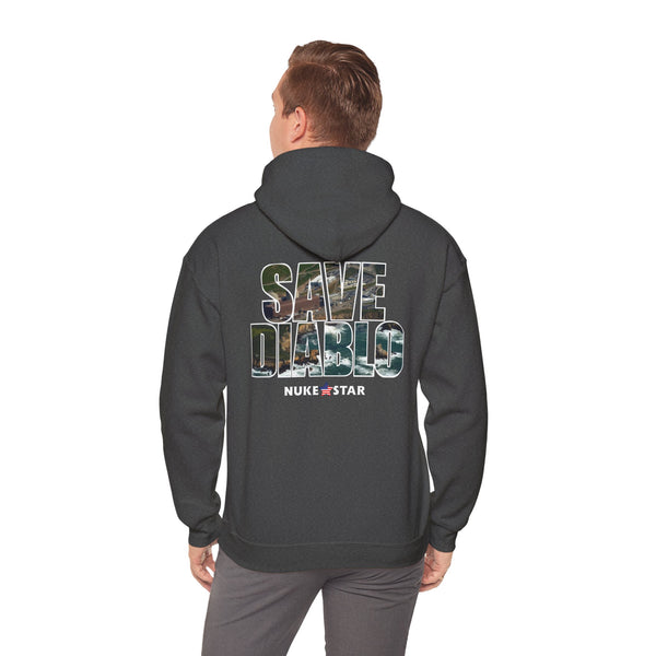 SAVE DIABLO Hoodie in color!