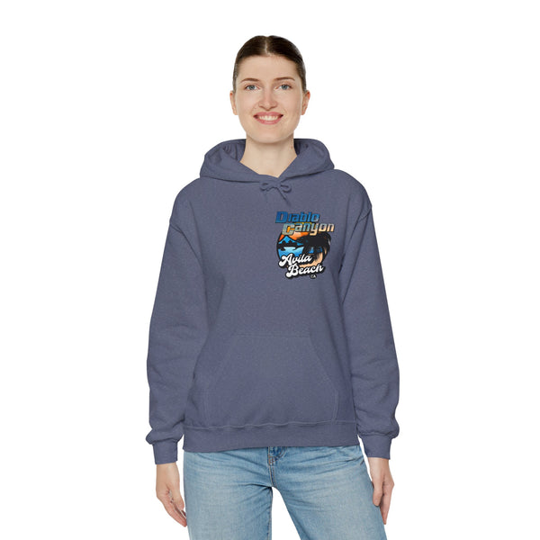 SAVE DIABLO Hoodie in color!