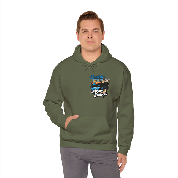 SAVE DIABLO Hoodie in color!