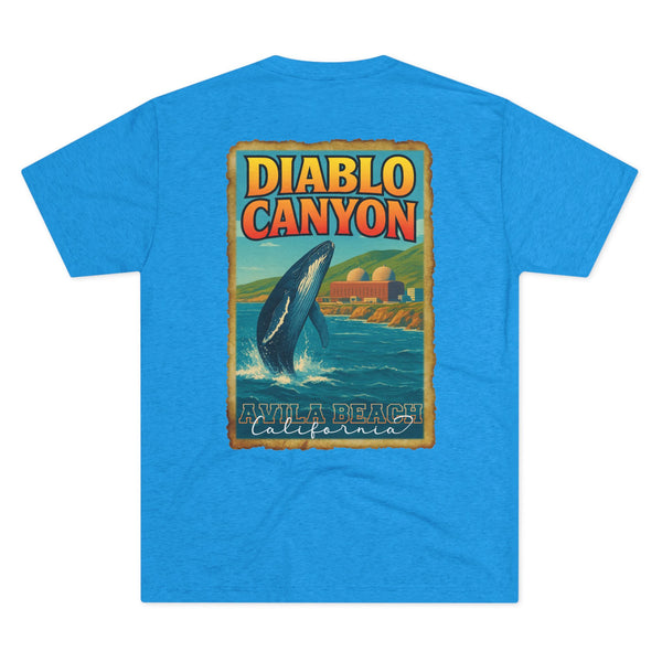 2R25 Diablo Canyon Travel Poster Fitted Tee