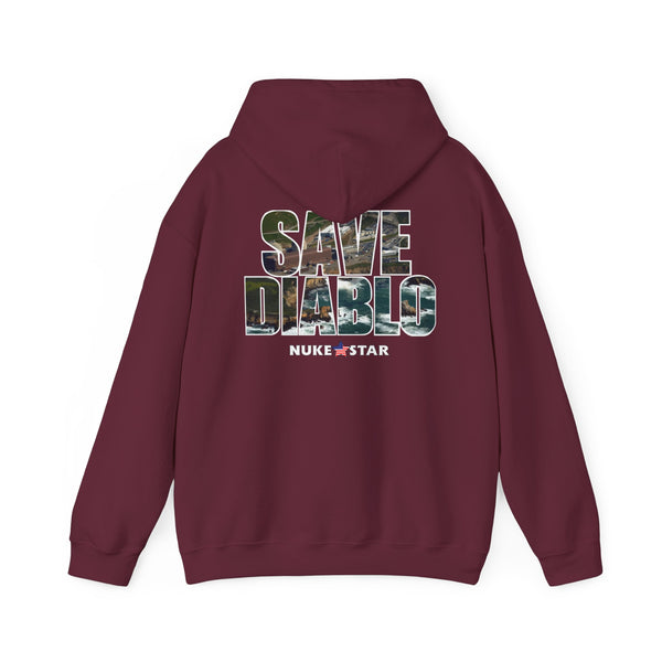 SAVE DIABLO Hoodie in color!