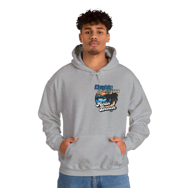 SAVE DIABLO Hoodie in color!