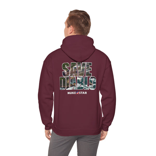 SAVE DIABLO Hoodie in color!