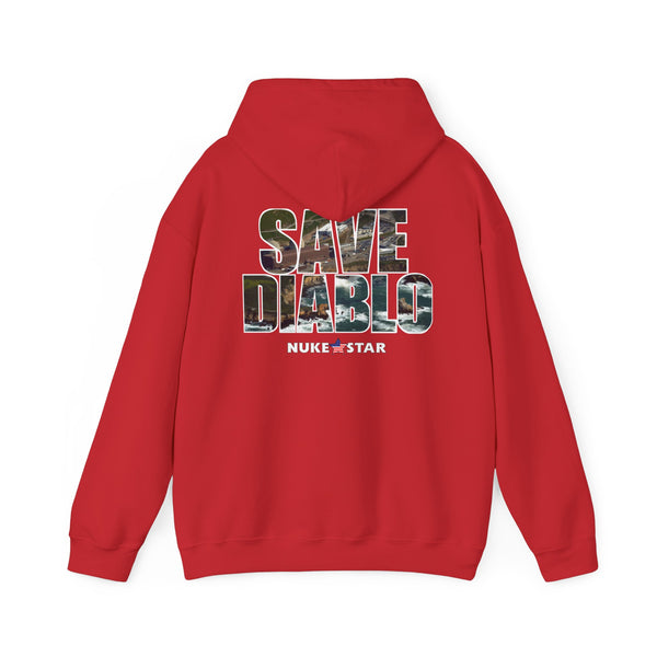 SAVE DIABLO Hoodie in color!