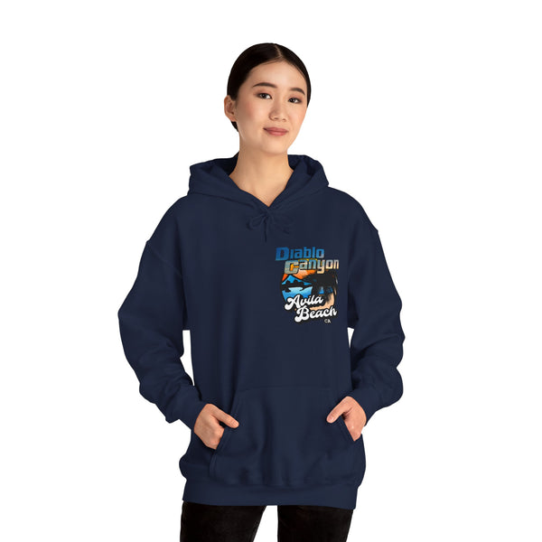 SAVE DIABLO Hoodie in color!