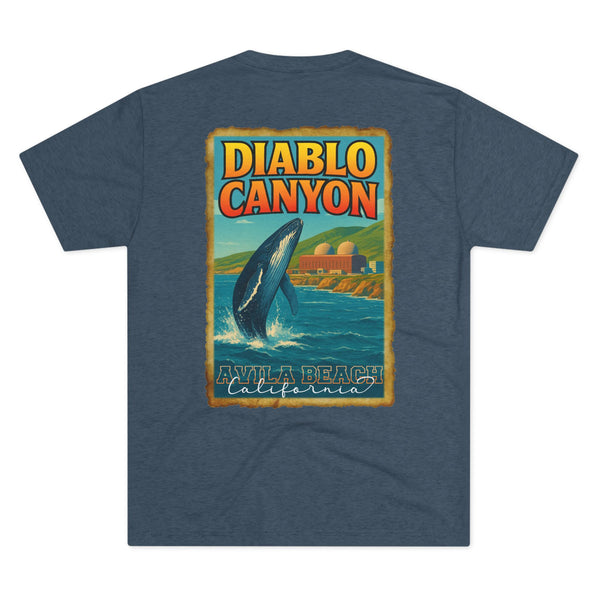 2R25 Diablo Canyon Travel Poster Fitted Tee