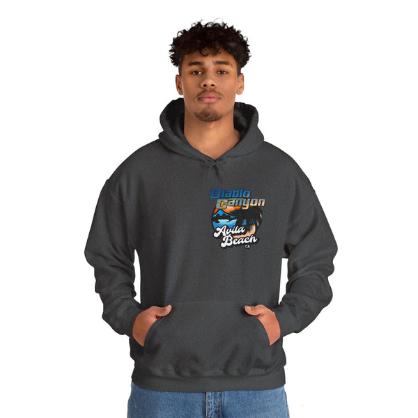 SAVE DIABLO Hoodie in color!