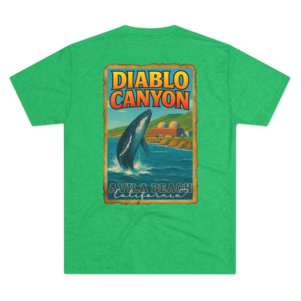 2R25 Diablo Canyon Travel Poster Fitted Tee