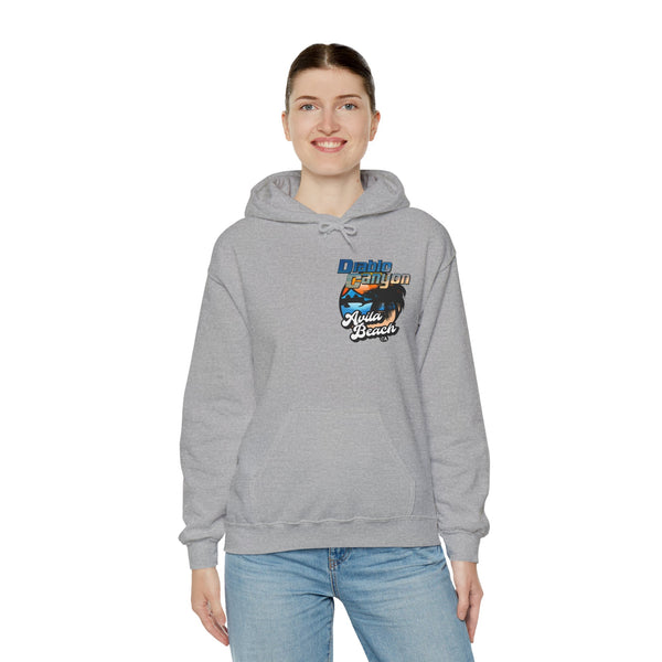 SAVE DIABLO Hoodie in color!