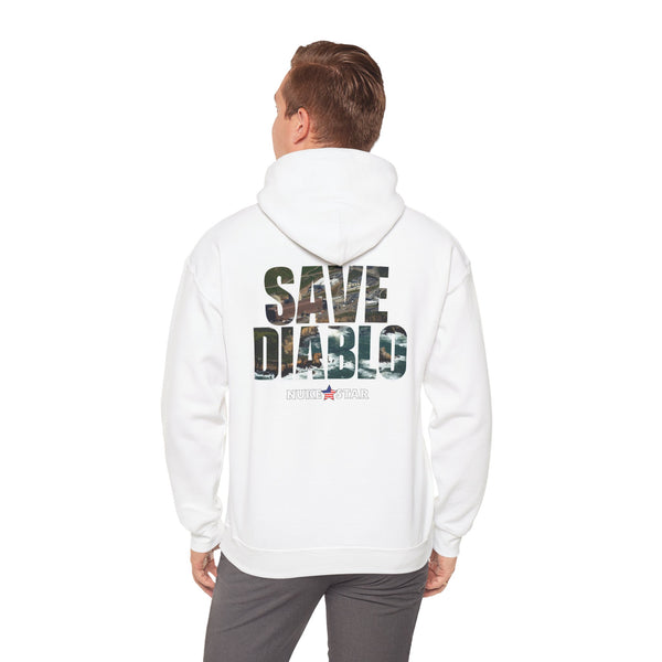 SAVE DIABLO Hoodie in color!