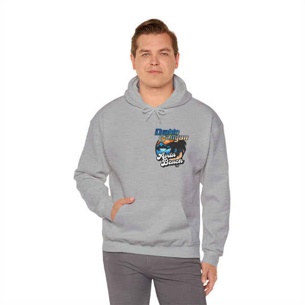 SAVE DIABLO Hoodie in color!