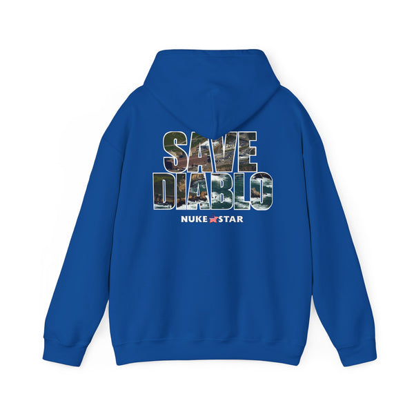 SAVE DIABLO Hoodie in color!