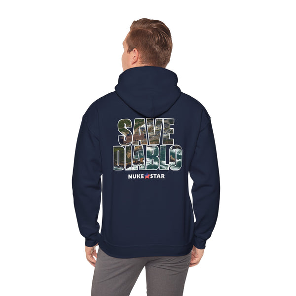 SAVE DIABLO Hoodie in color!