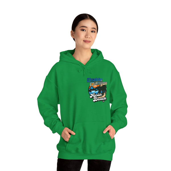 SAVE DIABLO Hoodie in color!