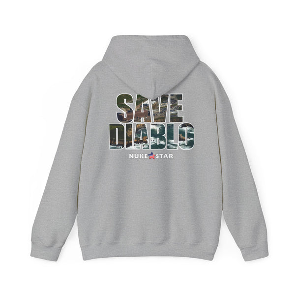 SAVE DIABLO Hoodie in color!