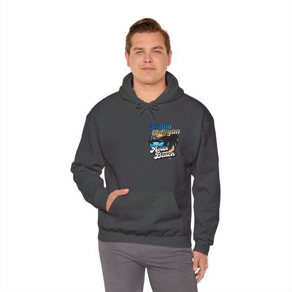 SAVE DIABLO Hoodie in color!