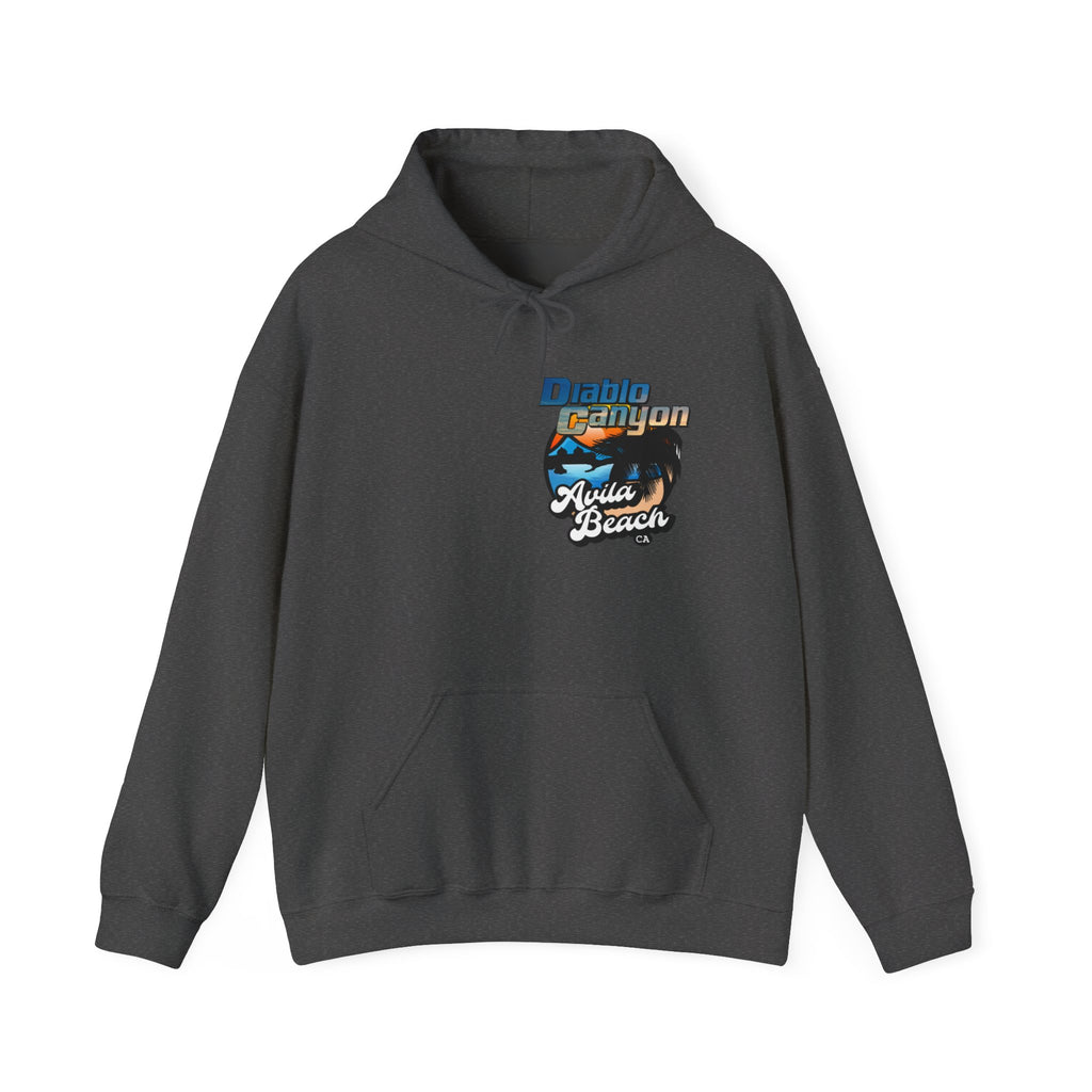 SAVE DIABLO Hoodie in color!