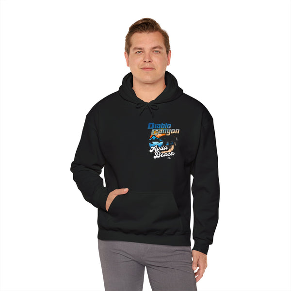 SAVE DIABLO Hoodie in color!