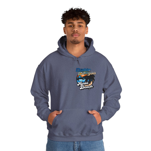 SAVE DIABLO Hoodie in color!