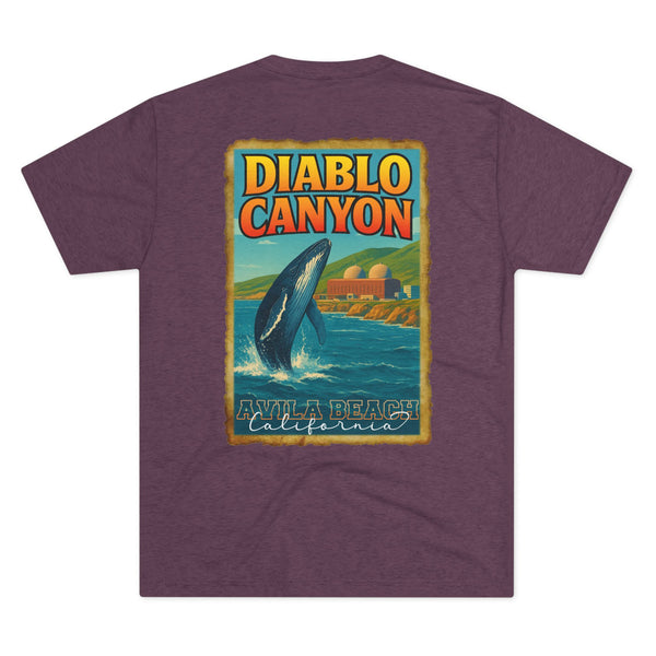 2R25 Diablo Canyon Travel Poster Fitted Tee
