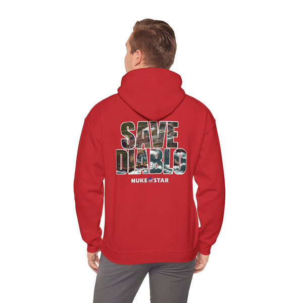 SAVE DIABLO Hoodie in color!
