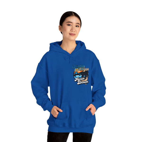 SAVE DIABLO Hoodie in color!