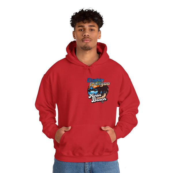 SAVE DIABLO Hoodie in color!