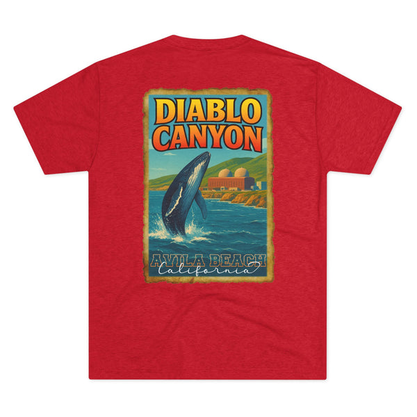 2R25 Diablo Canyon Travel Poster Fitted Tee