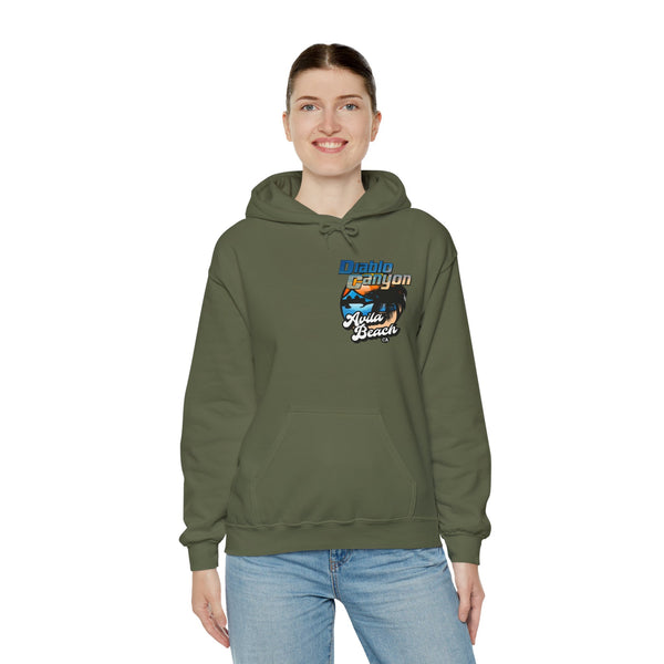 SAVE DIABLO Hoodie in color!