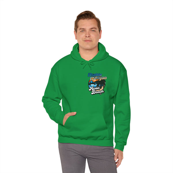 SAVE DIABLO Hoodie in color!