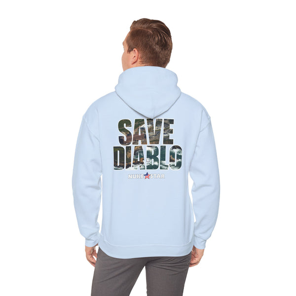 SAVE DIABLO Hoodie in color!