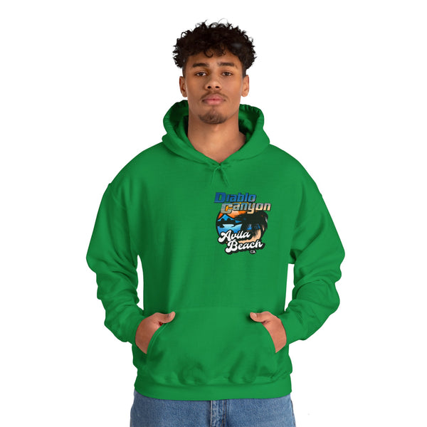 SAVE DIABLO Hoodie in color!