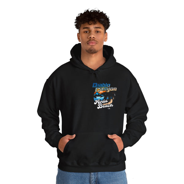 SAVE DIABLO Hoodie in color!