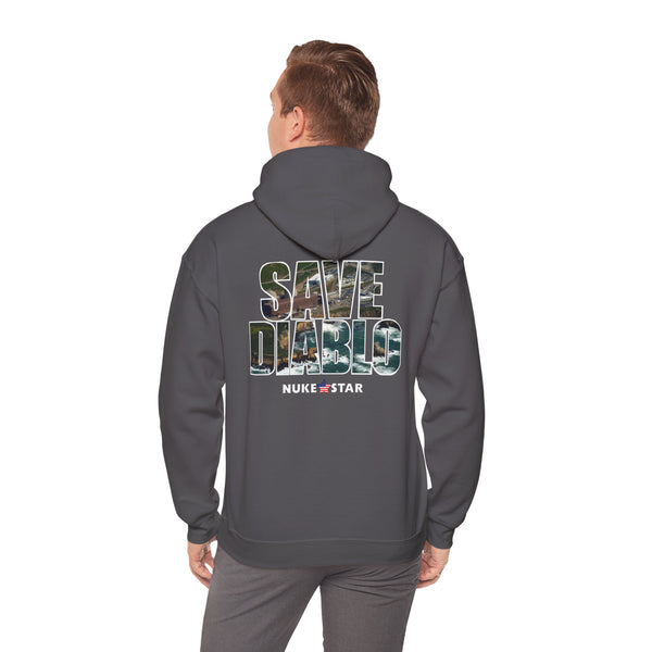 SAVE DIABLO Hoodie in color!