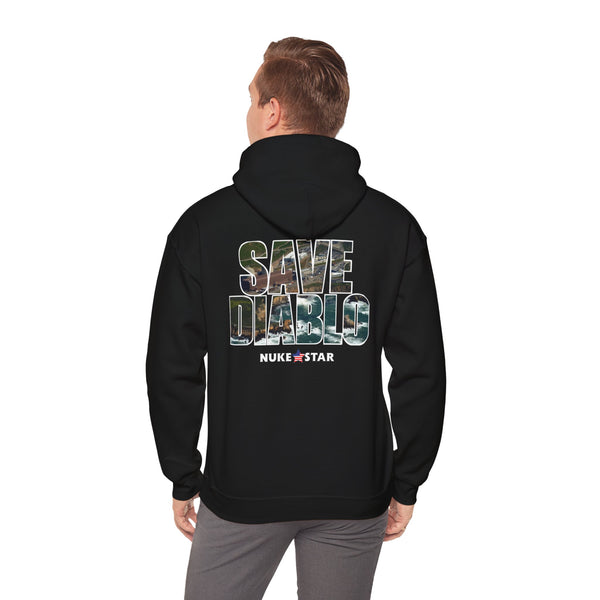 SAVE DIABLO Hoodie in color!