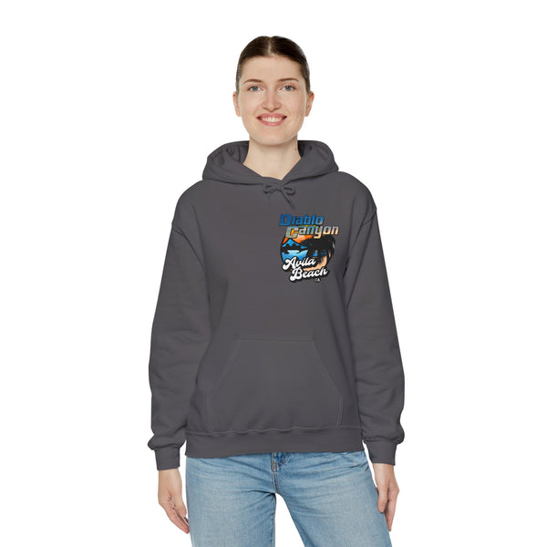 SAVE DIABLO Hoodie in color!