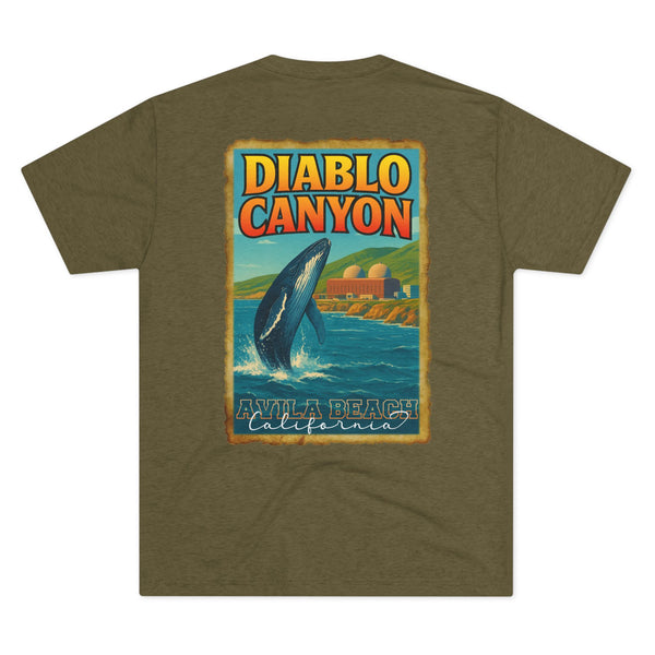 2R25 Diablo Canyon Travel Poster Fitted Tee