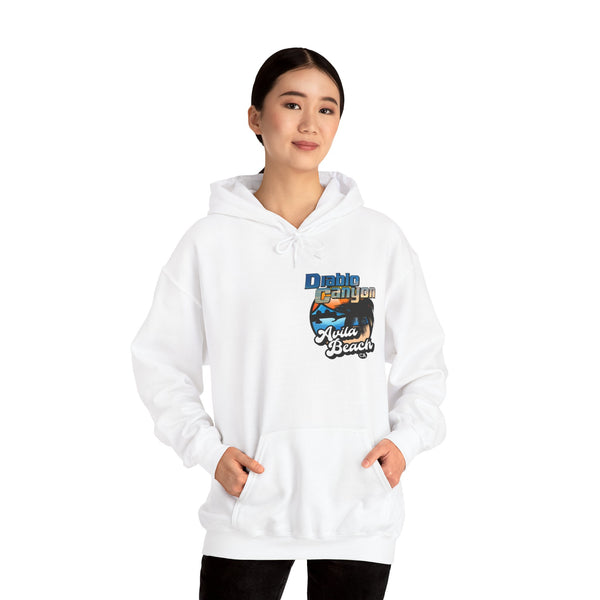SAVE DIABLO Hoodie in color!