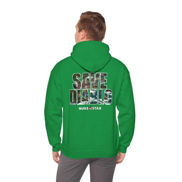 SAVE DIABLO Hoodie in color!