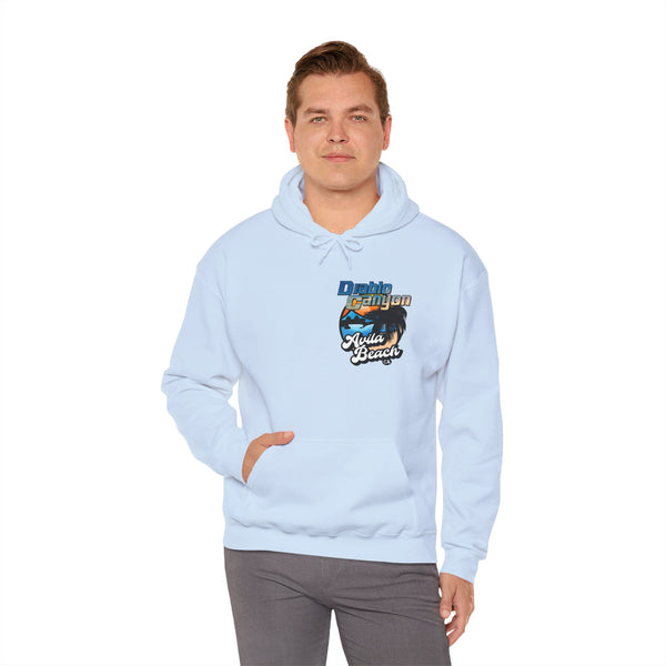 SAVE DIABLO Hoodie in color!