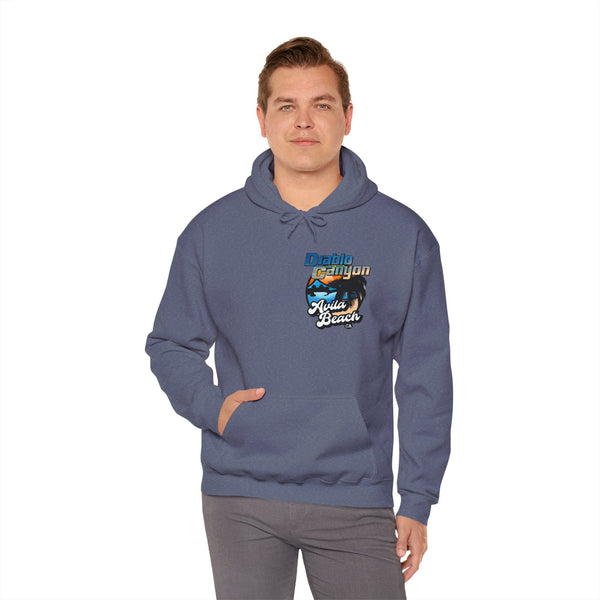 SAVE DIABLO Hoodie in color!