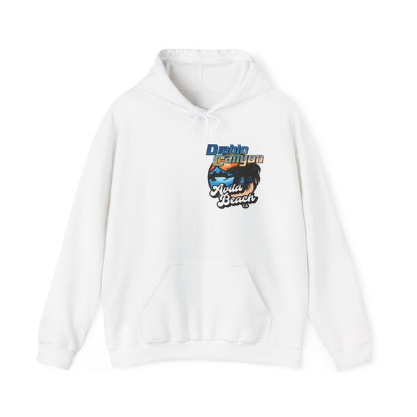 SAVE DIABLO Hoodie in color!