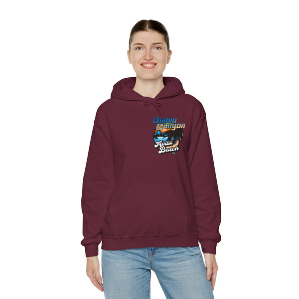 SAVE DIABLO Hoodie in color!