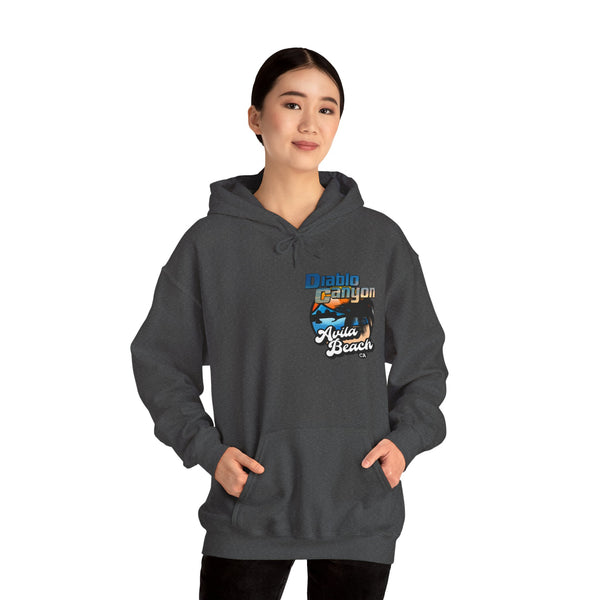 SAVE DIABLO Hoodie in color!