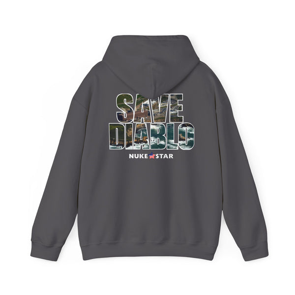 SAVE DIABLO Hoodie in color!