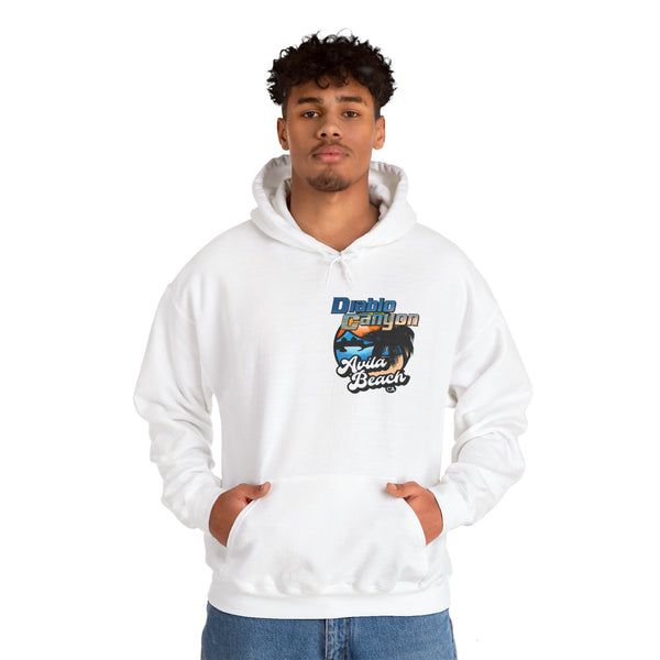 SAVE DIABLO Hoodie in color!