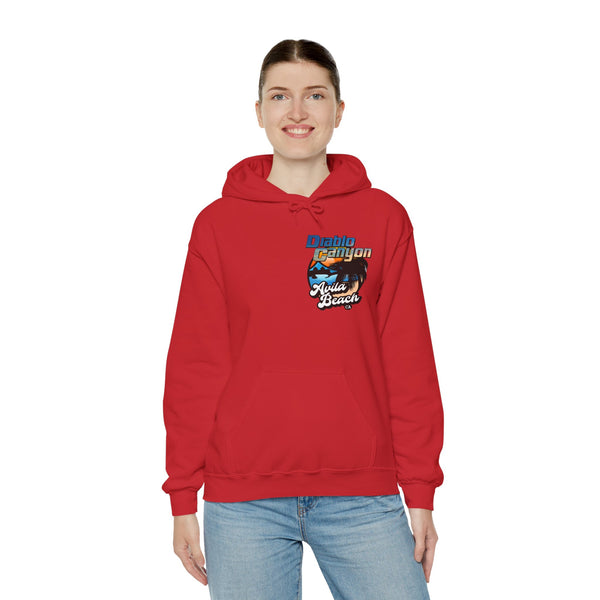 SAVE DIABLO Hoodie in color!