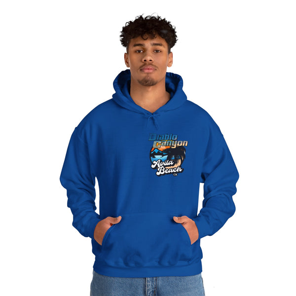 SAVE DIABLO Hoodie in color!