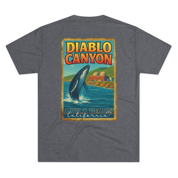 2R25 Diablo Canyon Travel Poster Fitted Tee