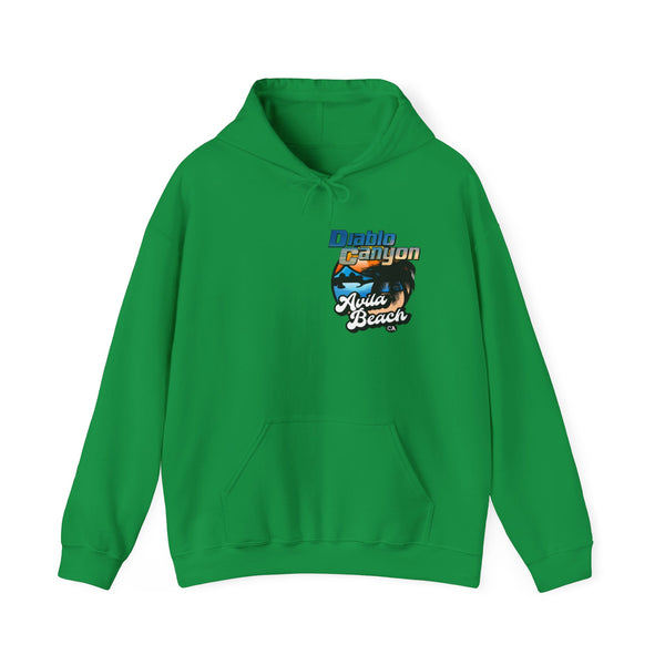 SAVE DIABLO Hoodie in color!